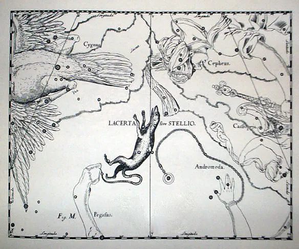 Hevelius's plate M, which introduces the new constellation Lacerta, the lizard, between Cygnus and Andromeda